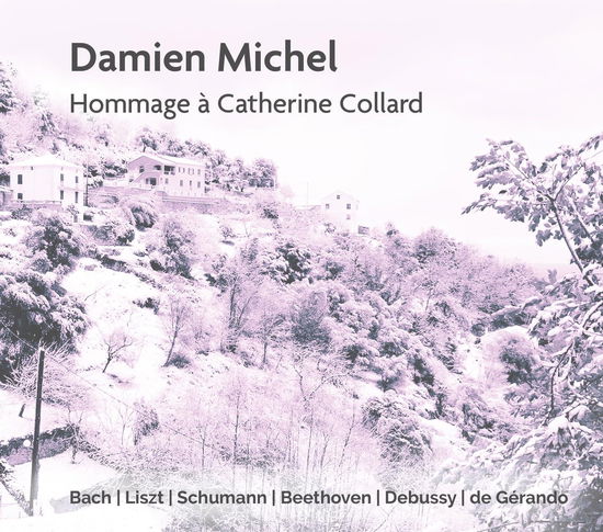 Cover for Association Acel · Hommage A Catherine Collard (CD) (2023)