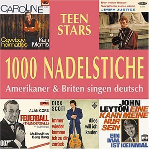 1000 Nadelstiche 5 - V/A - Musik - BEAR FAMILY - 4000127165428 - 11. April 2001