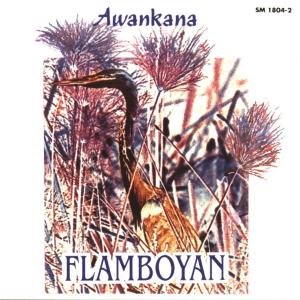 Cover for Flamboyan · Awankana (CD) (1993)