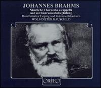 Cover for Rundfunkchor Leipzig / Hauschild · BRAHMS Sämtliche Chorwerke *d* (CD) (1997)