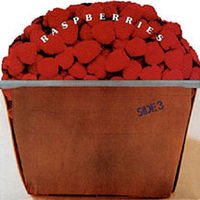 Cover for Raspberries · Side 3 (CD) (2009)