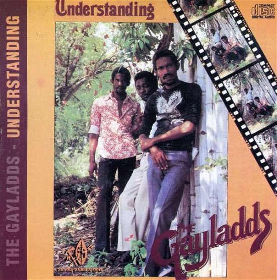 Cover for Gaylads · Understanding (CD) (2016)