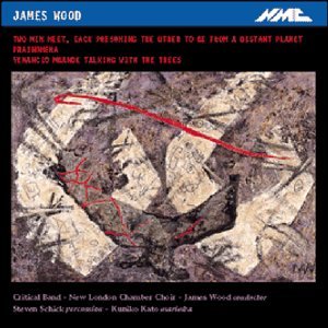 Cover for Critical Band / NLCC · James Wood (CD) (2021)