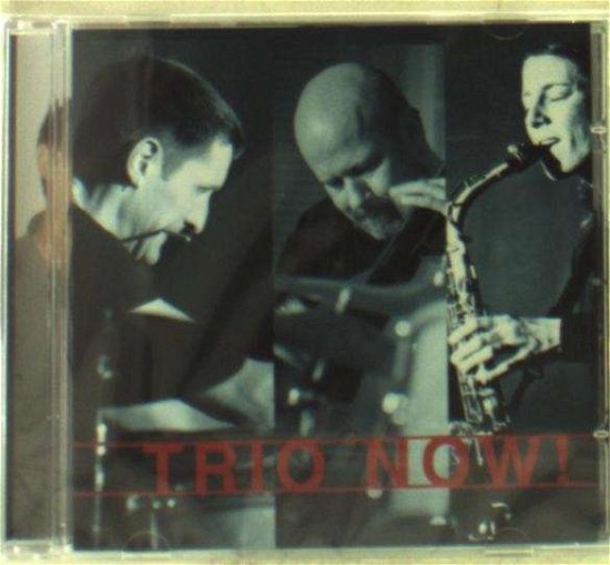 Cover for Tanja Feichtmair · Trio Now (CD) (2013)