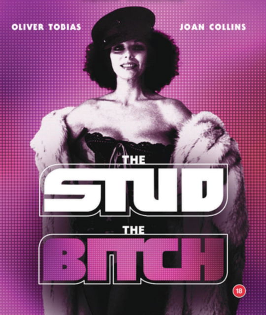 Stud / The Bitch Non Ltd Version - Quentin Masters - Movies - SCREENBOUND PICTURES - 5060425354428 - November 13, 2023