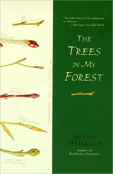 Cover for Bernd Heinrich · The Trees in My Forest (Paperback Bog) [Reprint edition] (1998)
