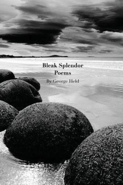 Cover for Grorge Held · Bleak Splendor (Paperback Book) (2015)