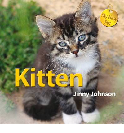 Cover for Jinny Johnson · My New Pet: Kitten - My New Pet (Paperback Book) [Illustrated edition] (2015)