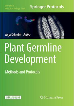 Cover for Plant Germline Development: Methods and Protocols - Methods in Molecular Biology (Paperback Book) [Softcover reprint of the original 1st ed. 2017 edition] (2018)