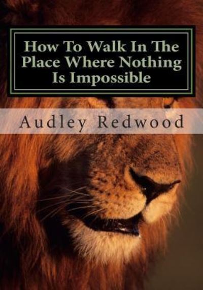 Cover for Audley Redwood · How to Walk in the Place Where Nothing is Impossible (Paperback Book) (2015)