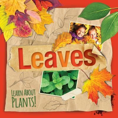 Cover for Steffi Cavell-Clarke · Leaves (Hardcover Book) (2017)