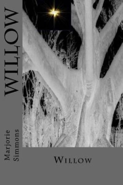 Cover for Marjorie Simmons · Willow (Pocketbok) (2016)