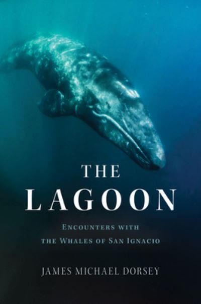 Cover for James Dorsey · Lagoon (Book) (2023)