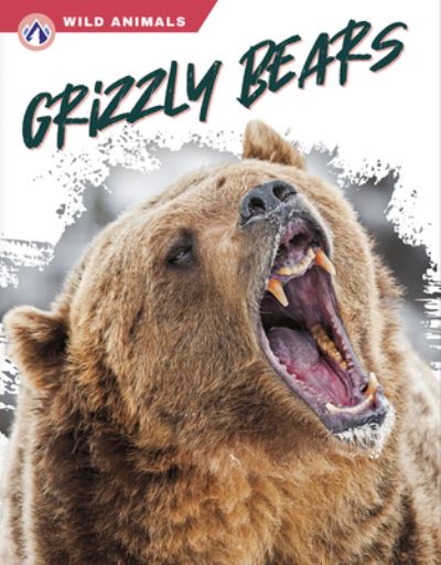 Cover for Rachel Hamby · Grizzly Bears (Hardcover Book) (2023)