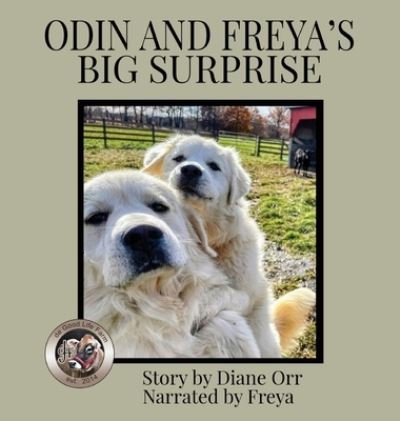 Cover for Diane Orr · Odin and Freya's Big Surprise (Book) (2022)