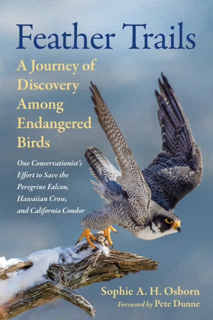 Cover for Sophie A. H. Osborn · Feather Trails: A Journey of Discovery Among Endangered Birds (Innbunden bok) (2024)