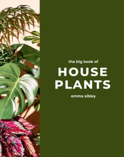 Cover for Emma Sibley · The Big Book of House Plants (Hardcover Book) (2024)
