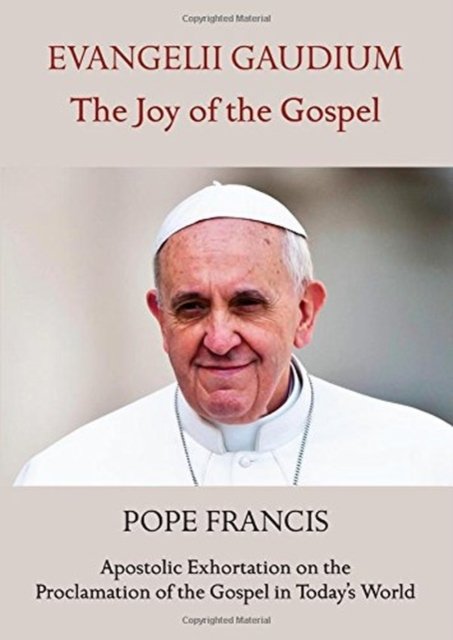 Cover for Pope Francis · Evangelii Gaudium the Joy of the Gospel (N/A)