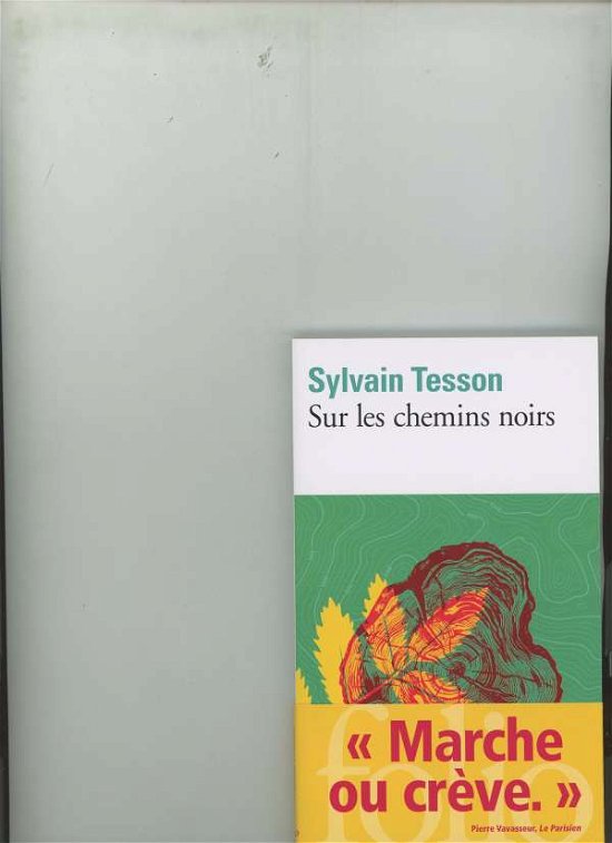 Sur les chemins noirs - Sylvain Tesson - Bøker - Gallimard - 9782072823428 - 7. februar 2019