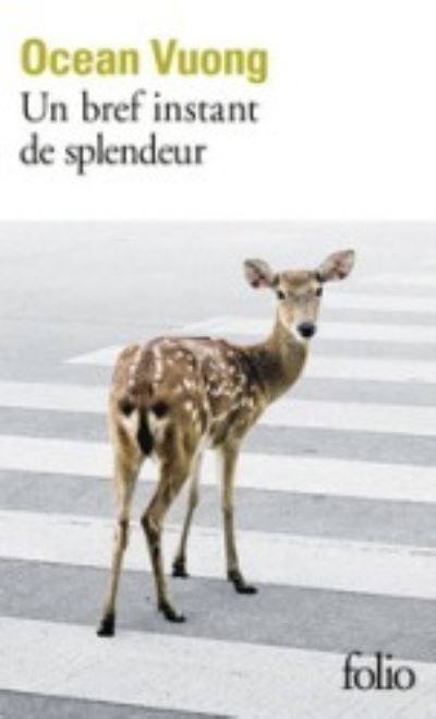 Un bref moment de splendeur - Ocean Vuong - Livros - Gallimard - 9782072977428 - 18 de agosto de 2022