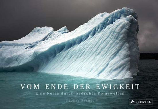 Cover for Seaman · Vom Ende der Ewigkeit (Book)