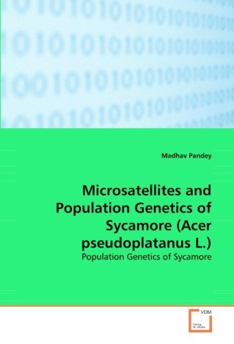 Cover for Madhav Pandey · Microsatellites and Population Genetics of Sycamore (Acer Pseudoplatanus L.) (Paperback Book) (2008)