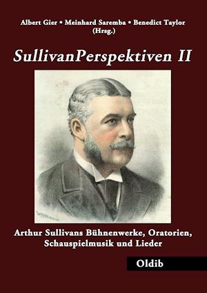 Cover for Meinhard Saremba · SullivanPerspektiven II (Paperback Book) (2014)