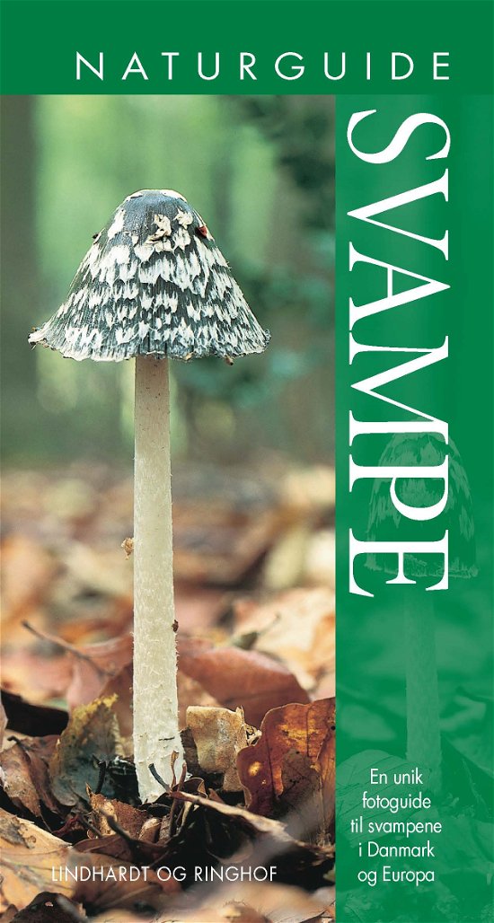 Naturguide Svampe - Shelley Evans - Books - Lindhardt og Ringhof - 9788711326428 - April 3, 2023