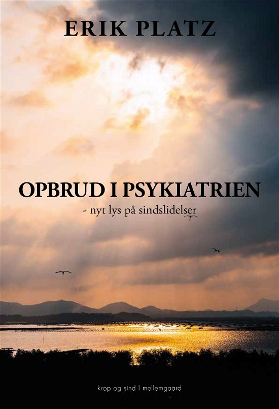 Cover for Erik Platz · Opbrud i psykiatrien (Sewn Spine Book) [1er édition] (2024)