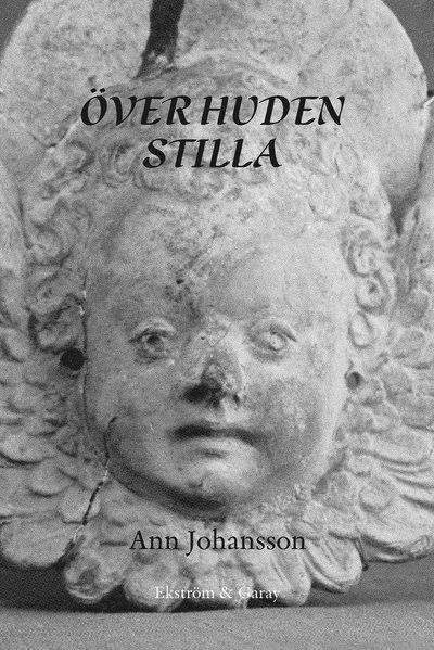 Över huden stilla - Ann Johansson - Books - Ekström & Garay - 9789189308428 - April 16, 2021