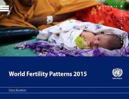 Cover for United Nations: Department of Economic and Social Affairs · World fertility patterns 2015: data booklet (Paperback Book) (2016)