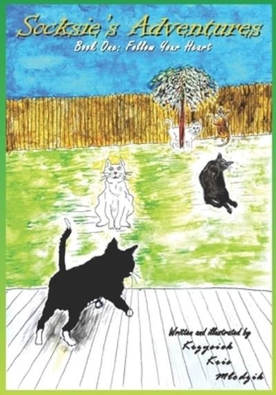 Cover for Krzysiek Kris Mlodzik · Socksie's Adventures: Book One: Follow Your Heart - Socksie's Adventures (Paperback Book) (2020)