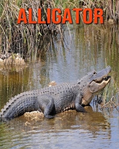 Cover for Kayla Miller · Alligator (Pocketbok) (2020)