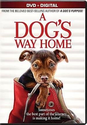 Cover for Dog's Way Home (DVD) (2019)