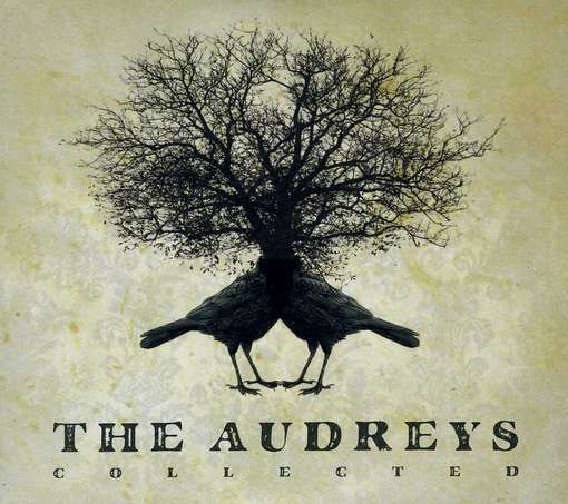 Collected - Audreys - Musik - UNIVERSAL - 0602527962429 - 17. april 2012