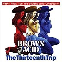 Cover for Brown Acid · Thirteenth Trip (CD) (2021)