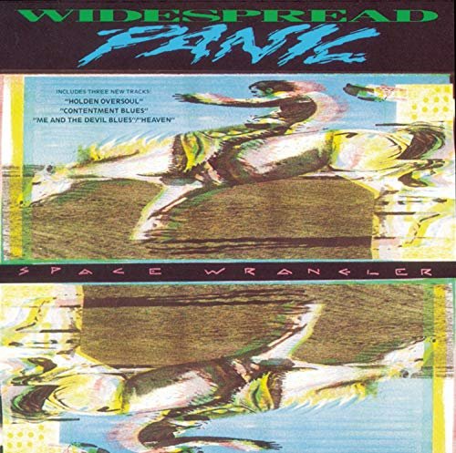 Space Wrangler - Widespread Panic - Musik - VOLCANO - 0614223214429 - 15. januar 1992
