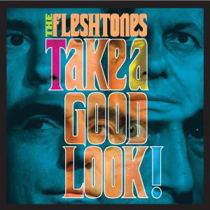 Take A Good Look - Fleshtones - Muziek - YEP ROC - 0634457215429 - 24 januari 2008