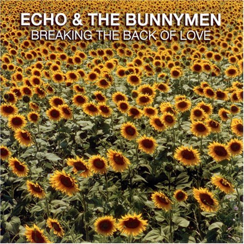 Cover for Echo &amp; Bunnymen · Breaking the Back of Love (CD) (2008)