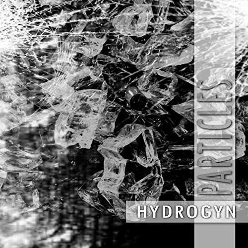 Cover for Hydrogyn · Particles (CD) (2013)