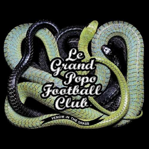 Cover for Le Grand Popo Football Club · Venom In The Grass (CD) [Digipak] (2013)