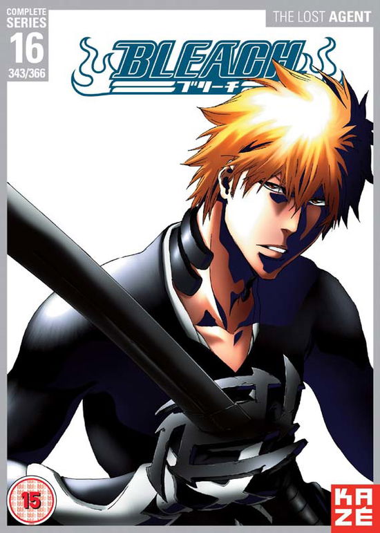 Bleach - Complete S.16 - Manga - Filmes - MANGA ENTERTAINMENT - 3700091029429 - 6 de fevereiro de 2017