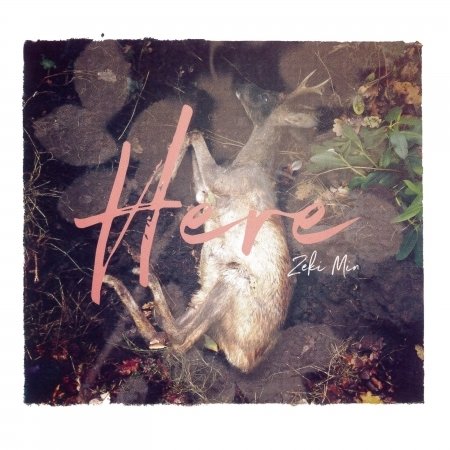 Cover for Zeki Min · Here (CD) (2018)