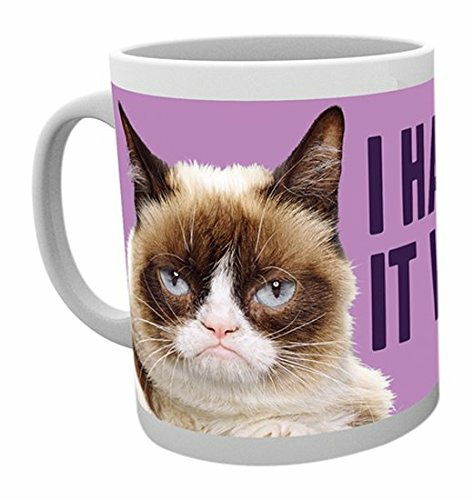 Grumpy Cat: Fun (Tazza) - Mug - Merchandise -  - 5028486354429 - 