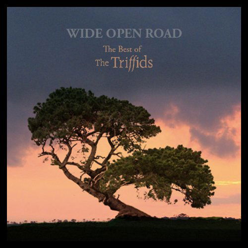 Wide Open Road: Best of - The Triffids - Musik - DOMINO RECORDS - 5034202207429 - 2. april 2010