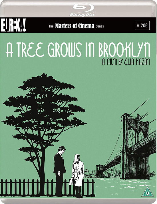 Cover for A TREE GROWS IN BROOKLYN Masters of Cinema Bluray · A Tree Grows In Brooklyn (Blu-Ray) (2019)