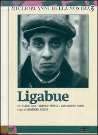 Cover for Ligabue (DVD) (2013)