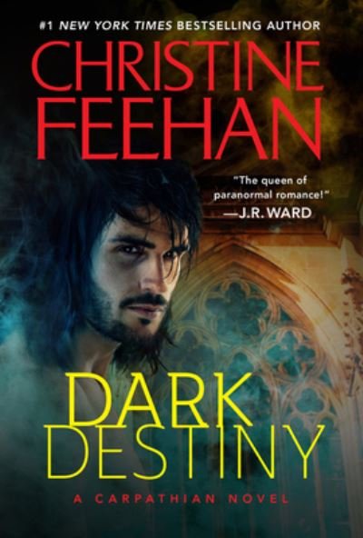 Dark Destiny - Dark Series - Christine Feehan - Books - HarperCollins Publishers Inc - 9780063161429 - February 17, 2022