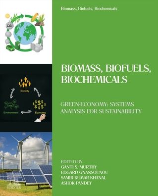 Cover for Ganti S. Murthy · Biomass, Biofuels, Biochemicals: Green-Economy: Systems Analysis for Sustainability (Paperback Book) (2021)