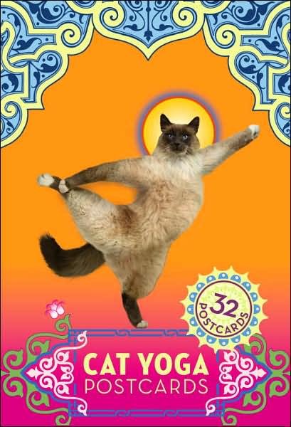 Cover for Rick Tillotson · Cat Yoga Postcards (Flashkort) (2007)